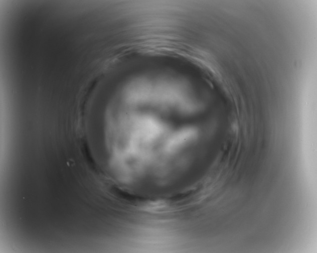 X0000088130411200706041322