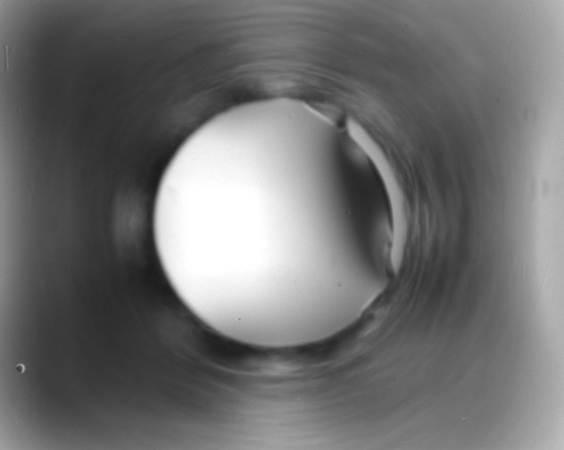 X0000088130412200706041322