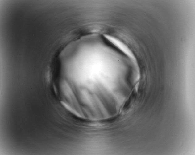 X0000088130413200706041322