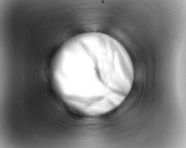 X0000088130414200706041322