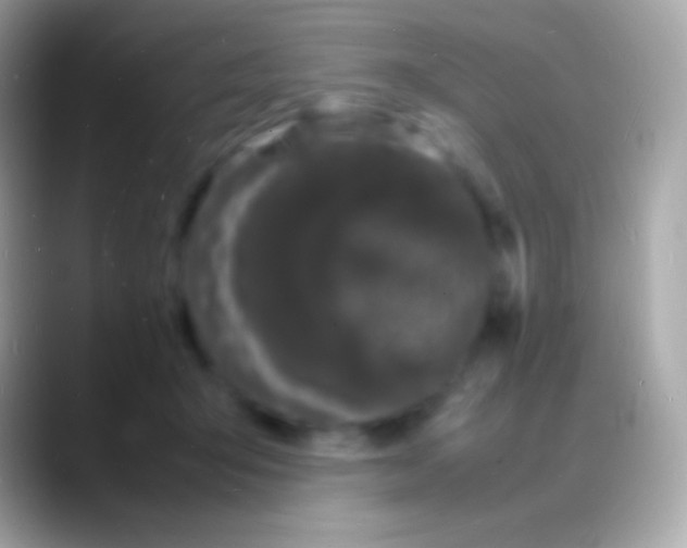 X0000088130415200706041322