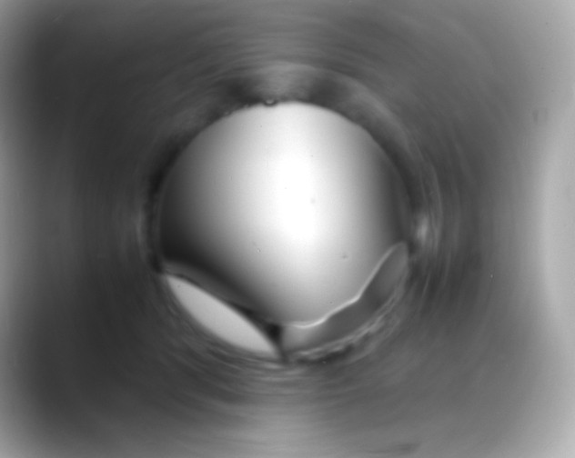 X0000088130416200706041322