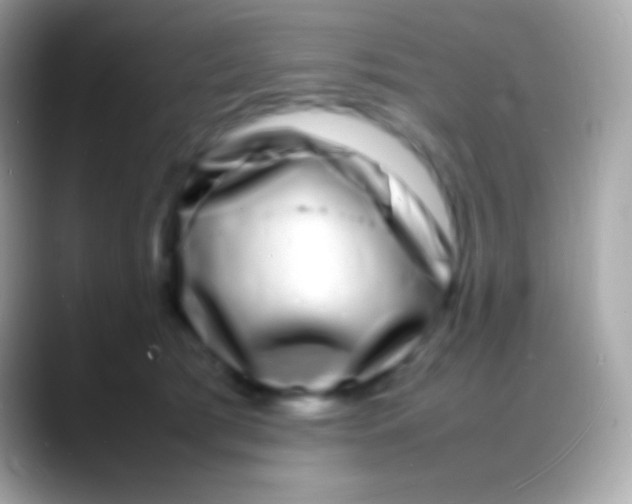 X0000088130417200706041322