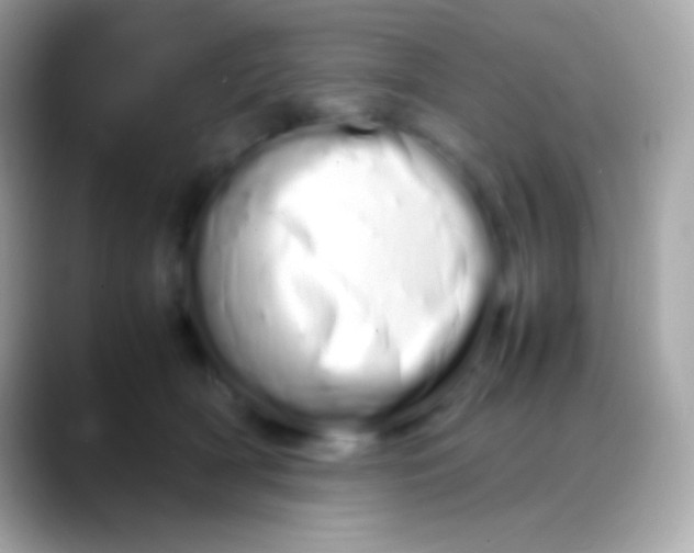 X0000088130418200706041322