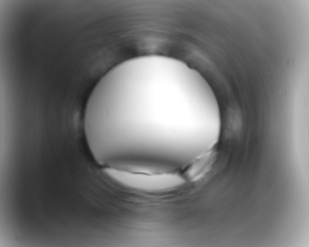 X0000088130420200706041322