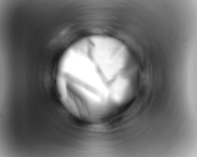 X0000088130422200706041322