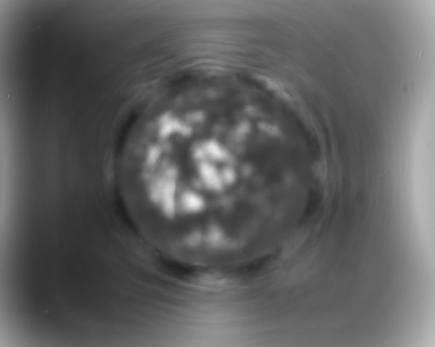 X0000088130423200706041322