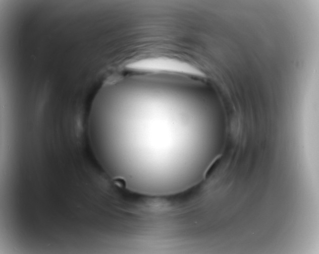 X0000088130424200706041322