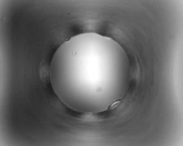 X0000088130425200706041322