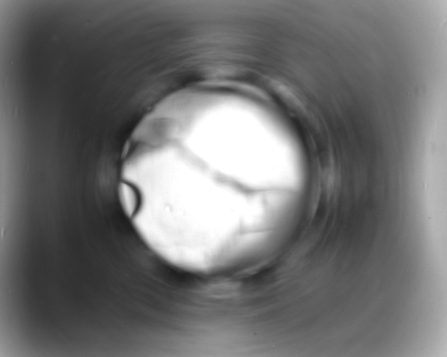 X0000088130426200706041322