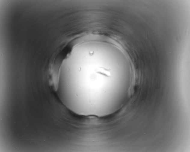 X0000088130428200706041322