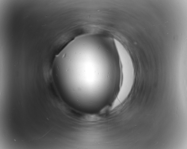 X0000088130429200706041322