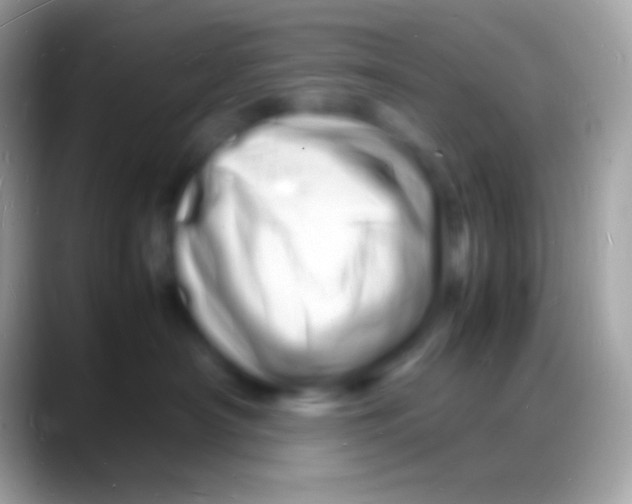 X0000088130430200706041322