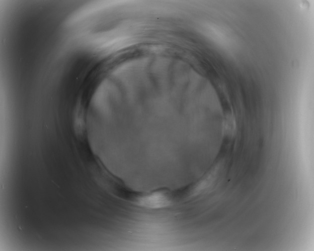 X0000088130431200706041322