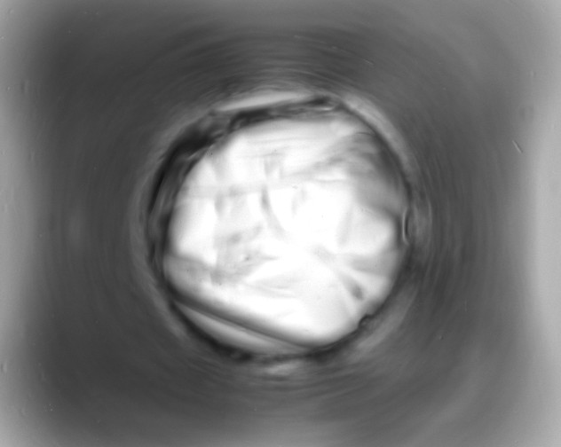 X0000088130433200706041322