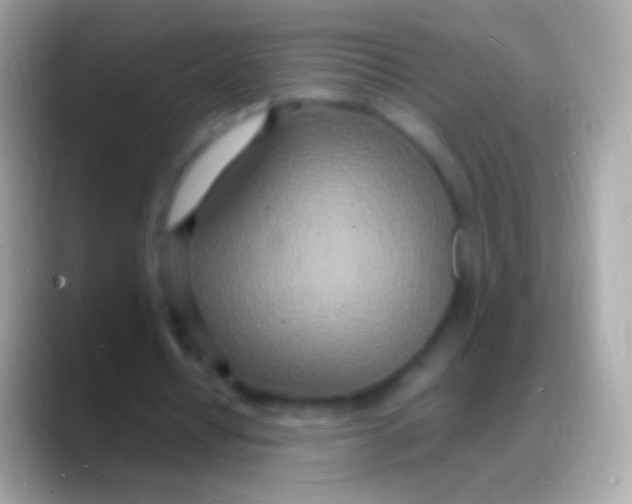 X0000088130434200706041322