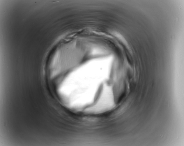 X0000088130435200706041322