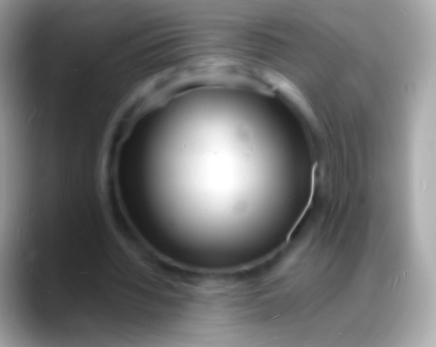 X0000088130436200706041322