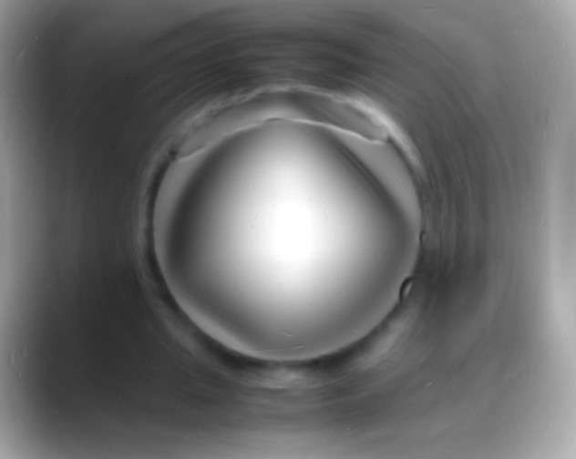 X0000088130437200706041322