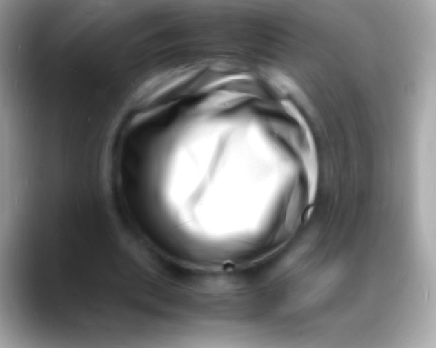 X0000088130439200706041322