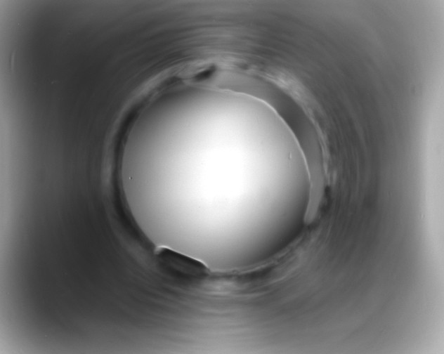 X0000088130440200706041322