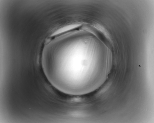 X0000088130441200706041322