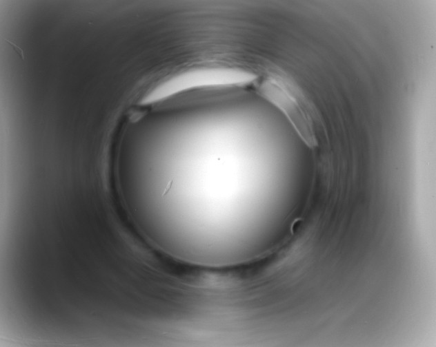 X0000088130442200706041322