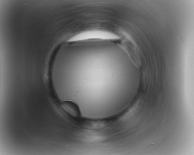 X0000088130443200706041322