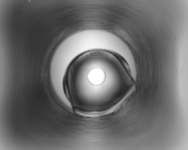 X0000088130444200706041322