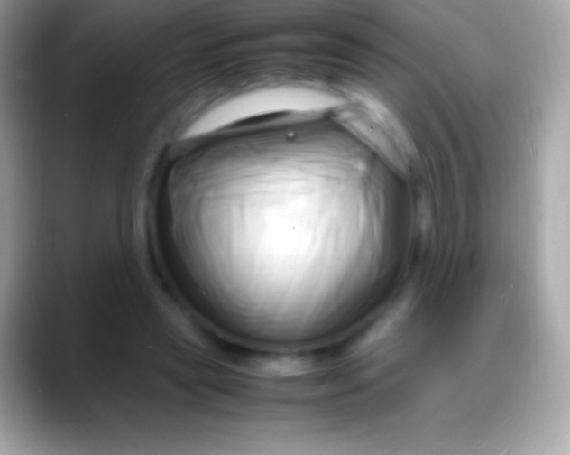 X0000088130445200706041322