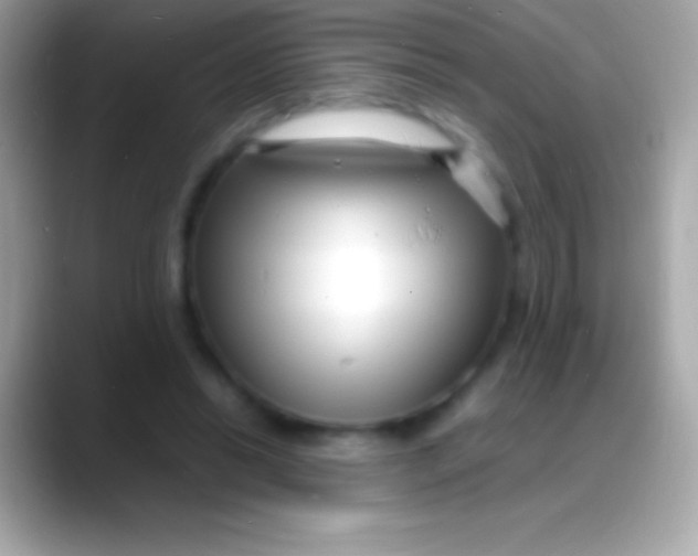 X0000088130446200706041322