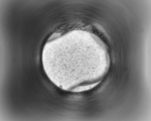 X0000088130447200706041322