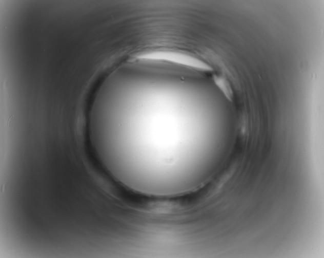 X0000088130448200706041322