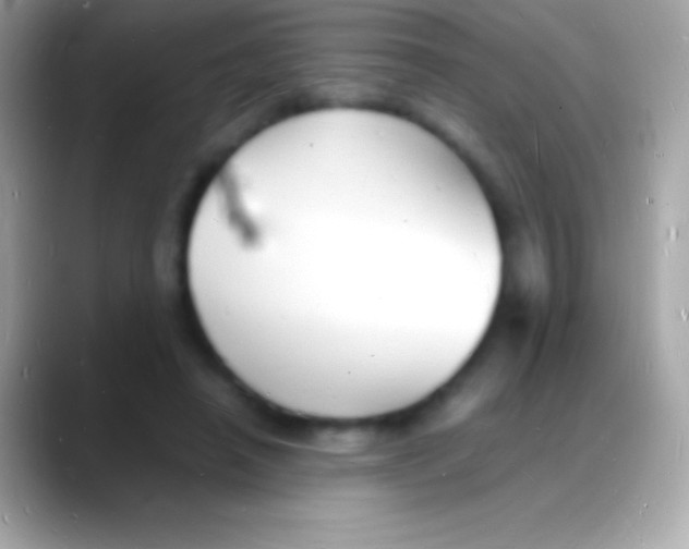 X0000088130450200706041322