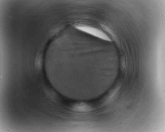 X0000088130451200706041322