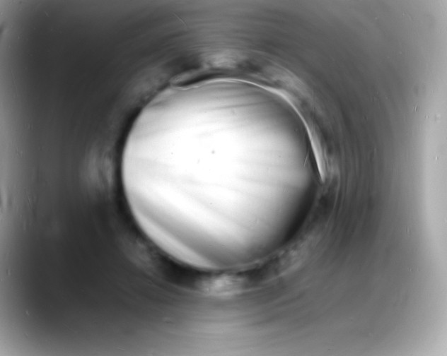 X0000088130452200706041322