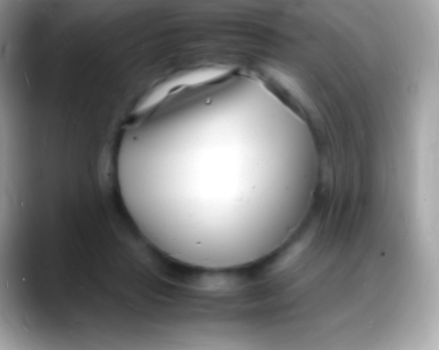 X0000088130453200706041322