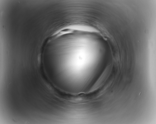 X0000088130454200706041322