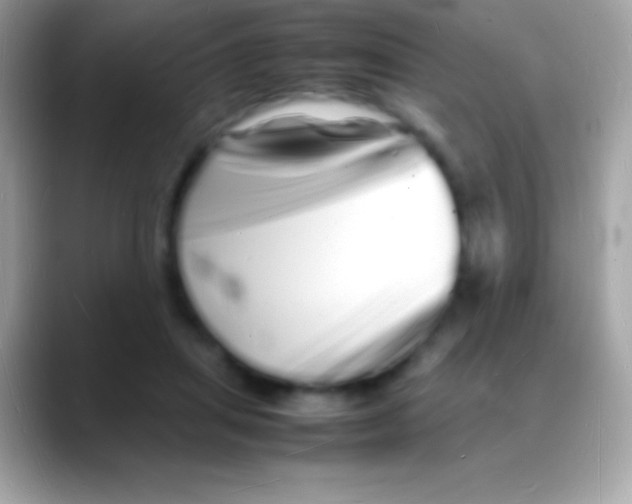 X0000088130455200706041322