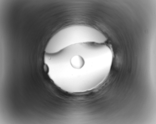 X0000088130456200706041322