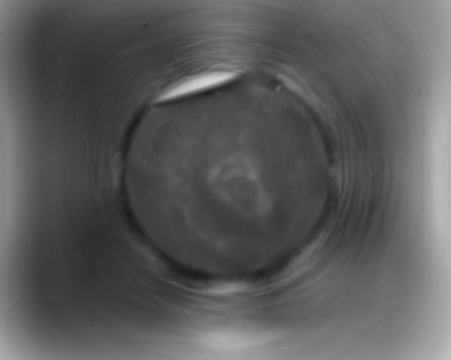 X0000088130458200706041322