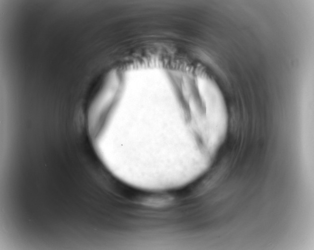 X0000088130459200706041322