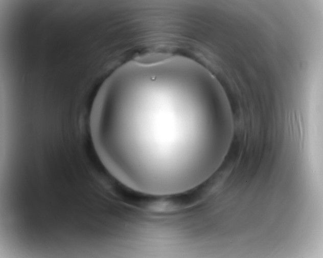 X0000088130460200706041322