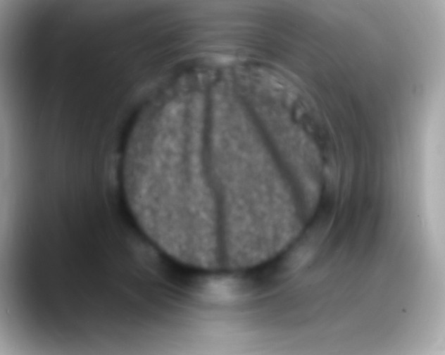 X0000088130462200706041322