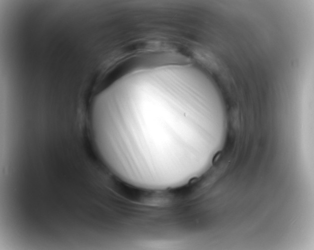 X0000088130463200706041322