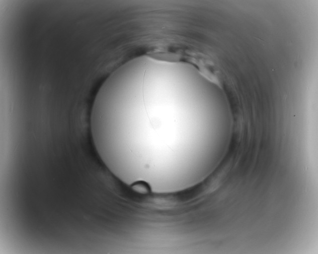 X0000088130466200706041322