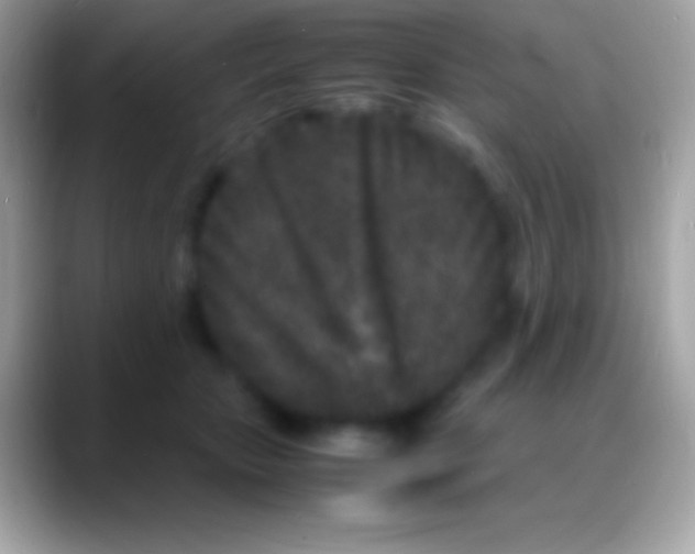 X0000088130467200706041322