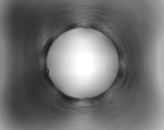 X0000088130468200706041322