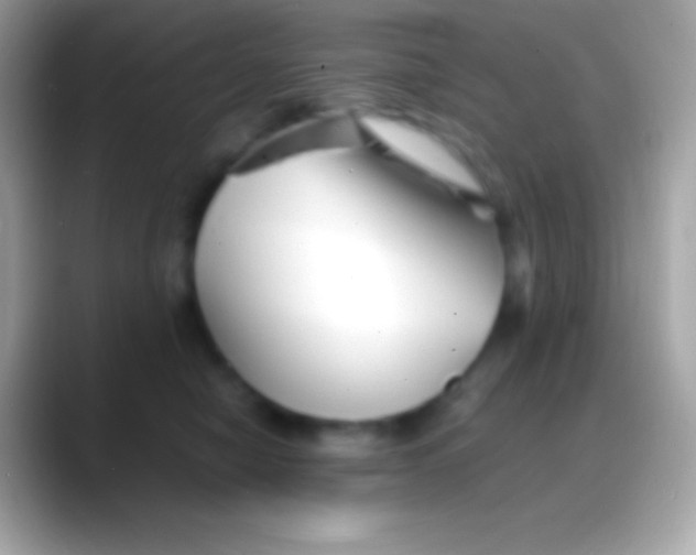 X0000088130470200706041322