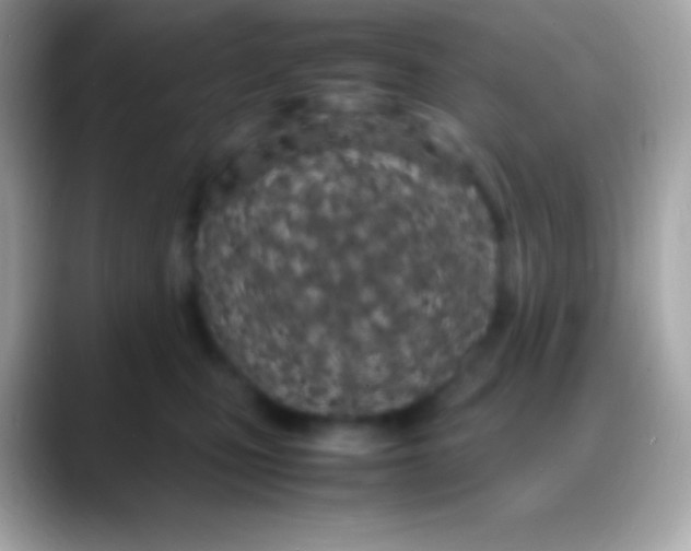 X0000088130471200706041322